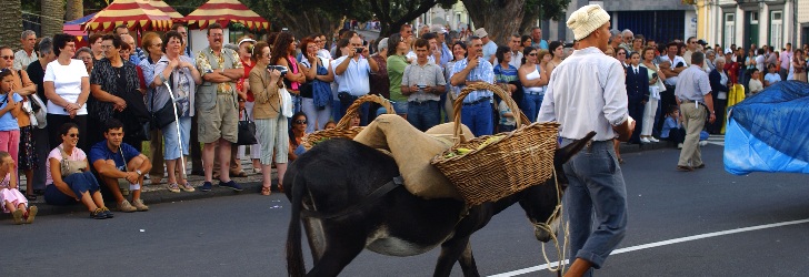 graciosa_festivities2