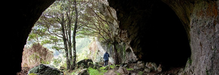 graciosa_nature3