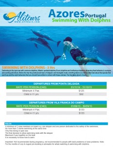 Swimming With Dolphins in the Azores