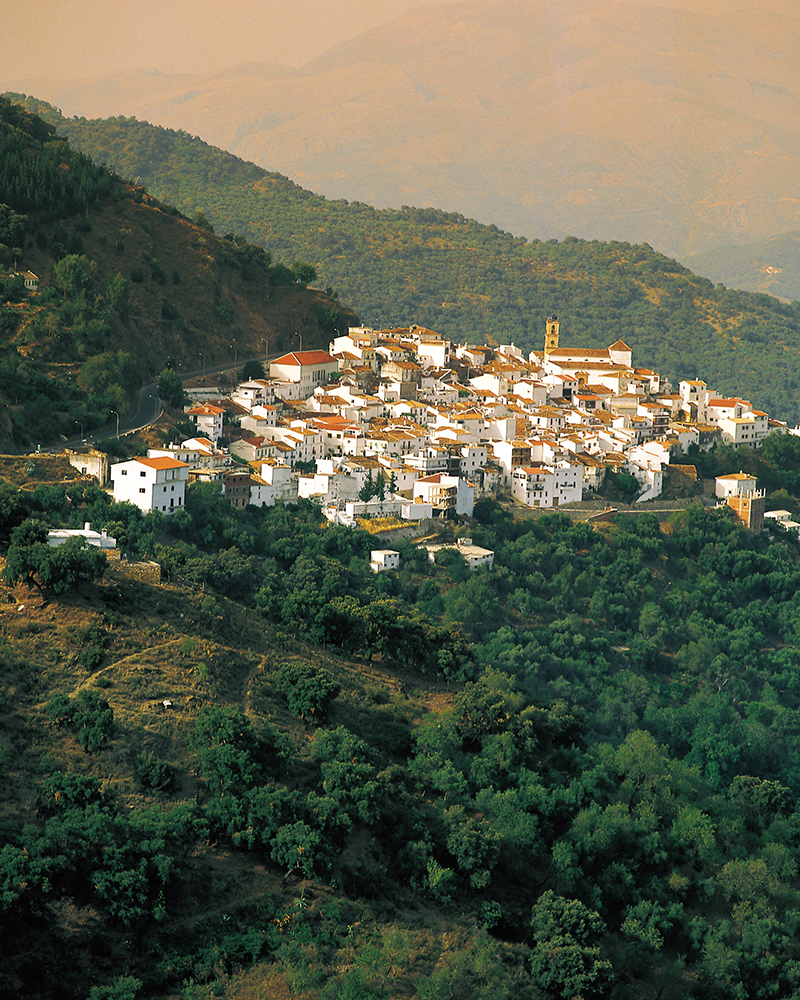 Religious-Portugal